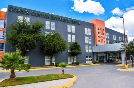 Copper Canyon Boutique Hotel Отели в г. Чиуауа