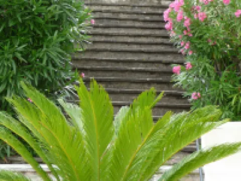 Hotel Villa Dei Bosconi Hotels in Fiesole