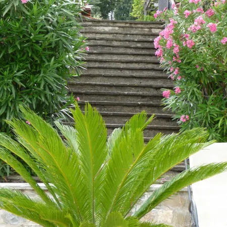 Hotel Villa Dei Bosconi