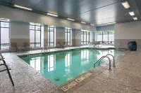 The Mosey Buffalo Williamsville, Tapestry Collection by Hilton - Pools