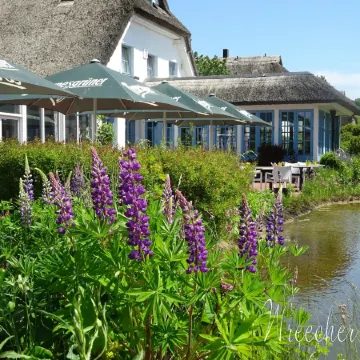 Landhotel Kastanienallee Putbus