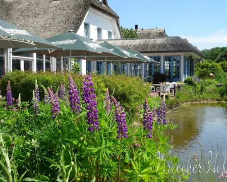 Landhotel Kastanienallee Putbus Hotels in Rugen
