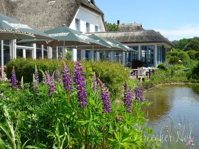Landhotel Kastanienallee Putbus Hôtels à : Samtens