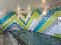 米子站前人工溫泉二股湯之華格林裡奇飯店