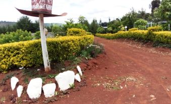 Mseven Gardens M7