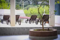 日光浴室住宿加早餐旅館