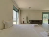Ouzo Panoramic Houses 2, με ιδιωτική πισίνα Ξενοδοχεία στην πόλη Πλωμάρι