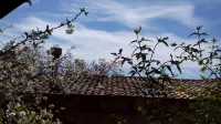 Il Vaso di Creta