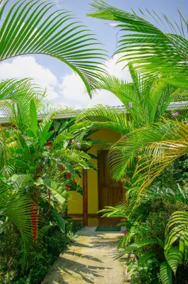 Arenal Descanso - Bed and Breakfasts