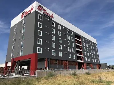 호텔 엘 도라도 에르모시요  호텔