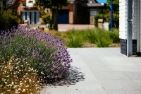 Villa in Koksijde with Sunny Terrace