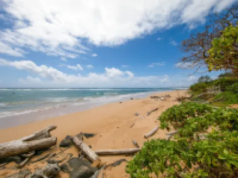 คาวาอี คาฮา ลานิ โดย โคลดเวลล์ แบงเกอร์ ไอส์แลนด์ วาเคชั่นส์ โรงแรมในลิฮู