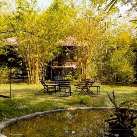 Wilderness camp Resort Pench
