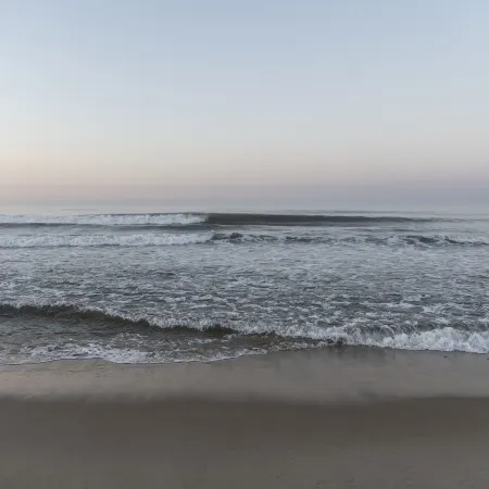 Marram
