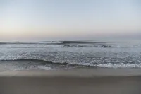 Marram - Ocean View
