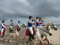 Relaxation between forest and sea, W4 for max. 6 pers. Hotels in Kellenhusen