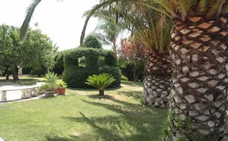 Villa Albero Limone Luxury 3 bedroom 4 bathooms farmhouse private pool and wif