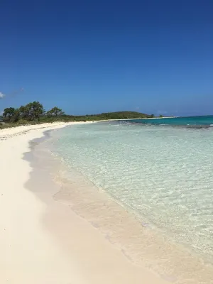 Seaside Jamaica Cottage with Lush Garden,  Hammock, 1 Minute Walk to Beach! Hotels in Duncans