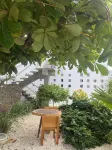 VIDA Chelem- SOL vacation property