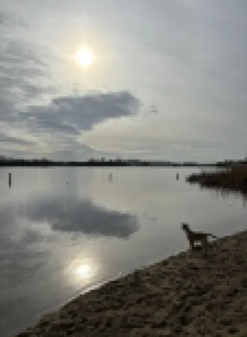 Strand, zee, duinen en bollenvelden. Een unieke plek om te genieten.