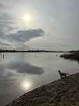 Strand, zee, duinen en bollenvelden. Een unieke plek om te genieten.