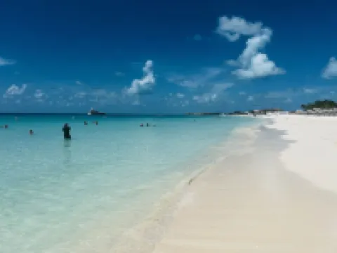 Bimini World Resorts TIPSY TURTLE With Boatslip and Polaris UTV