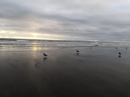 Fully fenced family and pet friendly iconic kiwi bach awaits