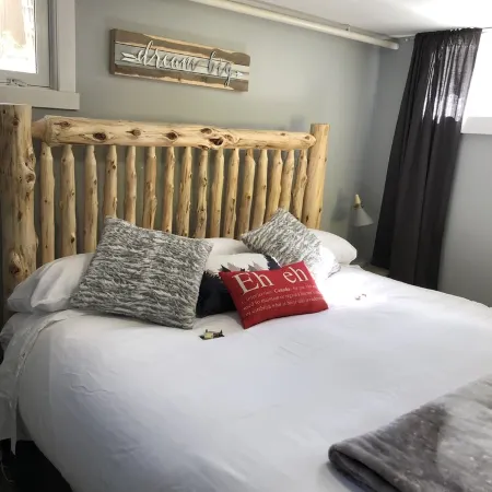 PROMO 5% WEEKLY DISCOUNT, ONLY FOR NOV/ DEC /JAN /FEB.Downtown Jasper Suite