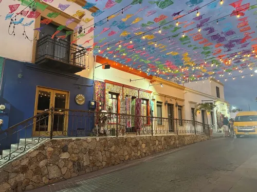 Casa Artista - San Jose del Cabo