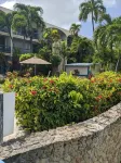 SEA TURTLE COVE ST CROIX -NO PASSPORT