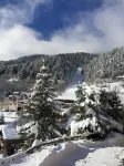 APP NEARBY SKI SLOPES-CHAMPAGNY EN VANOISE-LA PLAGNE-PARADISKI-PARC LA VANOISE