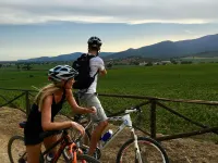 Fattoria Maremmana - Scenic