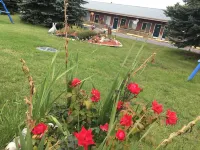 Big Bear Lodge Hotels in Alpena