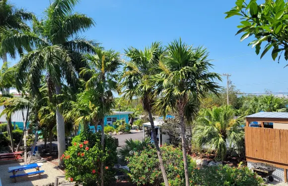 洛伊基礁度假村及潛水中心