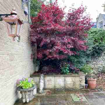 The Old House At Home Hotel Exterior