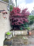 The Old House At Home