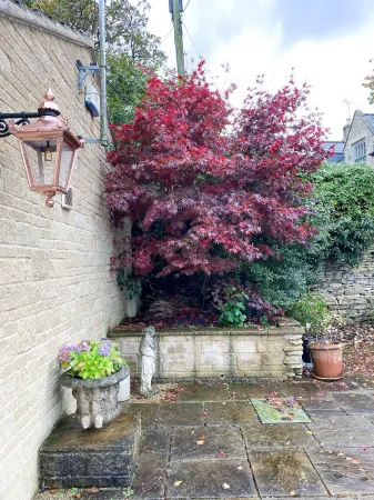 The Old House At Home