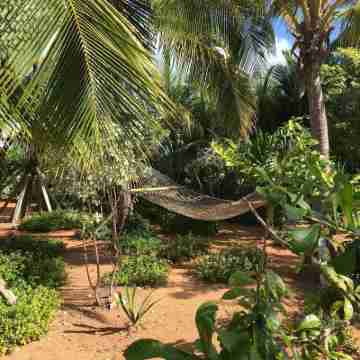Spanish Wells Yacht Haven Hotel Exterior