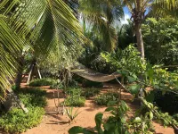 Spanish Wells Yacht Haven Hotels in 