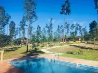 Kane Villas - Mountain Pine Ridge - Kolam Renang