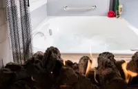 1801 First Luxury Inn - Romantic