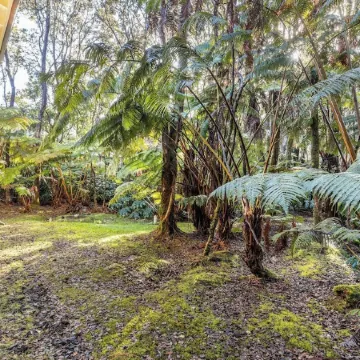 Liko Lehua Cottage in Volcano - Hot Tub & Fireplace - Mauna Loa Estates
