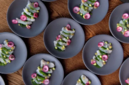 Four Seasons Residence Club San Diego, Aviara (Residence Rental)