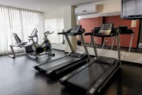 Comfort Inn San Luis Potosi - Gym