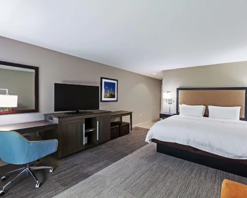 هامتون إن آند سويتس هوستون هايتس آي - 10 Hotels near بايو بيند