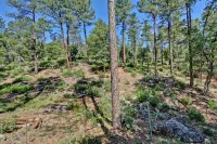 Simply Wonderful....Fully Remodeled Cabin in Pine, AZ