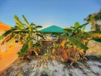 DIRECT Gulf View/Access! KAYAKS!!! WATERFRONT!!! Hotels in Hernando Beach