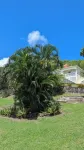 Caribbean Sea View Cottage