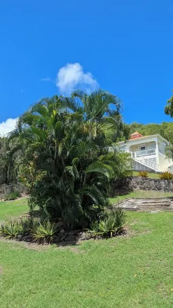 Caribbean Sea View Cottage