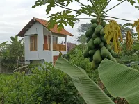 Sri Gaïa Yogyakarta Hotels in Dlingo